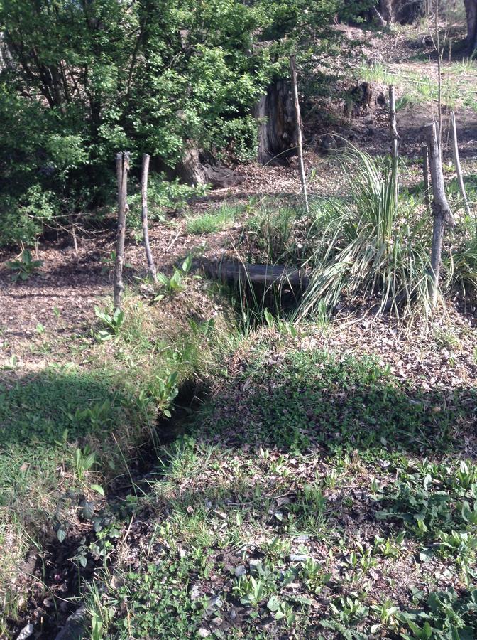 פורטרריז'וס Mil Piedras Cabins מראה חיצוני תמונה